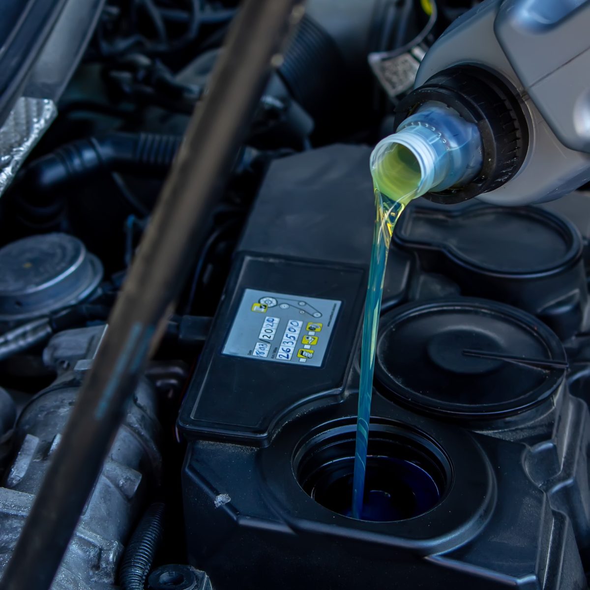 An auto mechanic changing oil pours oil into a car engine.